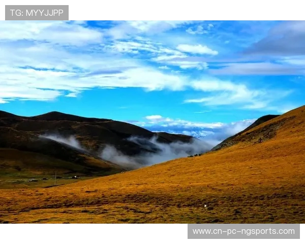 何思雨的成长之路与人生哲学探索:从平凡到卓越的心灵旅程